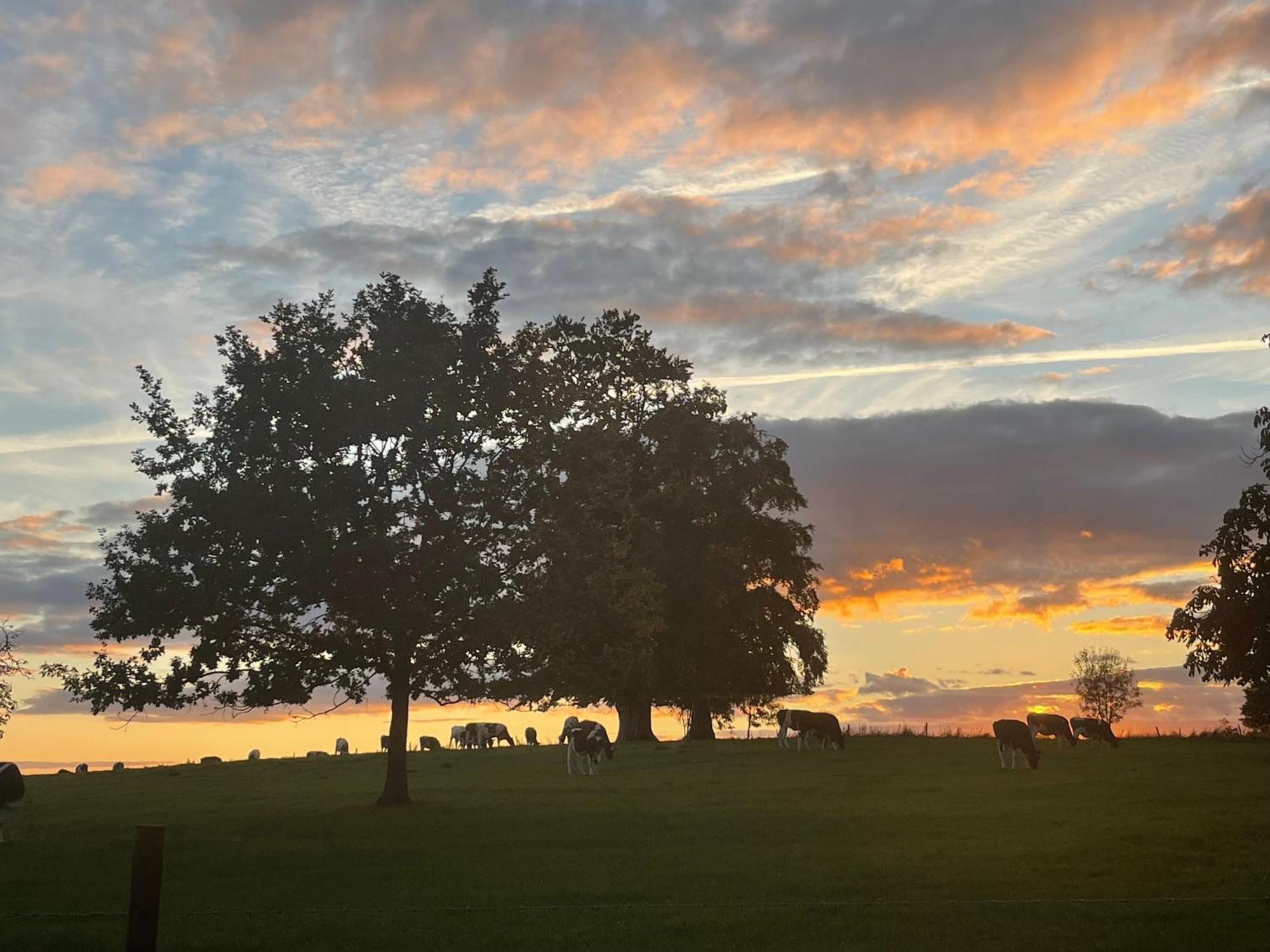 ホテル Orchardleigh Estate フルーム エクステリア 写真